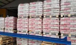 Ile cementu na palecie? Zaskakujące różnice między producentami.